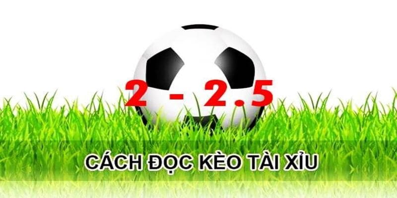 tài xỉu 2-2.5 tài xỉu 2-2.5