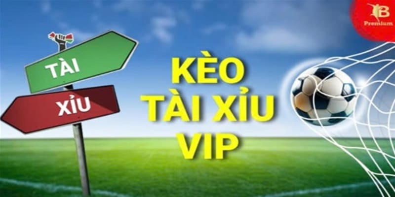 tài xỉu 1 trái tài xỉu 1 trái